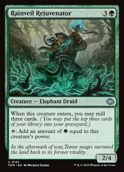 4x Rainveil Rejuvenator MTG Tarkir: Dragonstorm NM Magic Regular - Image 1