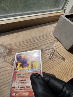 Moltres ex 031 Nintendo Ultra Rare Holo EX Collector Tin Window Pokemon Card MP - Image 3