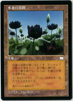 MTG Lotus Vale Weatherlight WTH 165/167 Japanese MINT - Image 1
