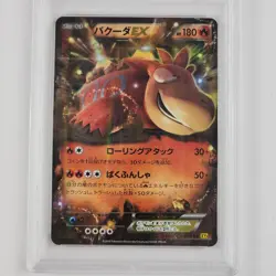 Camerupt EX Pokemon XY Japanese PSA 10 Gaia Volcano 012/171 Full Art Holo Card - Image 3