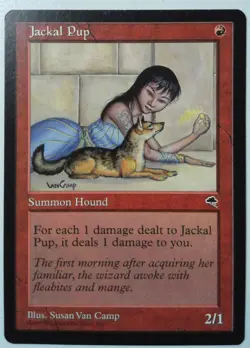 Jackal Pup *Uncommon* Magic MtG x1 Tempest SP - Image 1