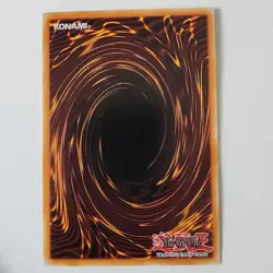 Performapal Life Swordsman - TDIL-EN008 - LP - Common - 1st ed - Yugioh - Image 2