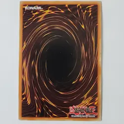 Magician's Robe - TDIL-EN018 - HP+ - Common - 1st ed - Yugioh - Image 2