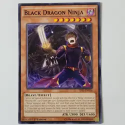 Black Dragon Ninja - TDIL-EN036 - HP - Common - 1st ed - Yugioh - Image 1