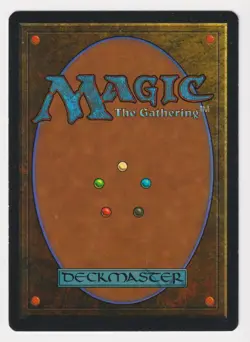 Signed Divine Intervention LP Legends Artist Amy Weber MTG Magic Reserved List! - Image 2