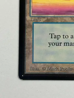 Island (A) - Beta Edition 1993 - MTG card [LP] - Image 5