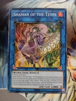 Yugioh Shaman of the Tenyi Common OP17-EN024 Near Mint - Image 1