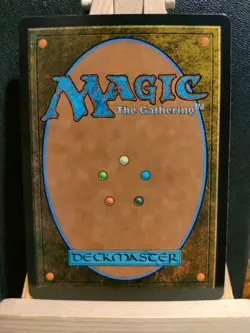 Dawn's Truce (Showcase) - Bloomburrow - Rare - NM (See pics) MTG - Image 2