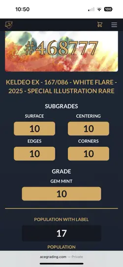 Keldeo EX 167/086 SIR White Flare ACE 10 Perfect Subgrades Pokemon TCG - Image 3