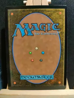 Secluded Courtyard (Borderless) - Bloomburrow Special Guests - NM (See pics) MTG - Image 2