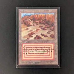 MTG \>> Plateau (GD) <<// Collectors' Edition - 341 Trading - Magic - Image 1
