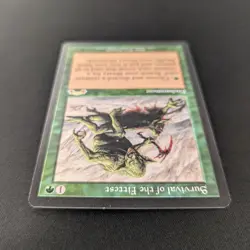 MTG \>> Survival of the Fittest (NM) <<// Exodus - 341 Trading - Magic - Image 4