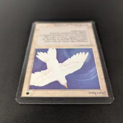 MTG \>> Purelace (NM) <<// Alpha - 341 Trading - Magic - Image 4