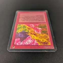 MTG \>> Chaoslace (GD) <<// Alpha - 341 Trading - Magic - Image 4