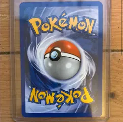 Pokemon TCG Feraligatr Neo Genesis Holo Rare Card 5/111 - NM Condition WOTC - Image 3