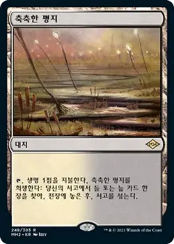 MTG MODERN HORIZONS 2 KOREAN - Marsh Flats x1 - Image 1