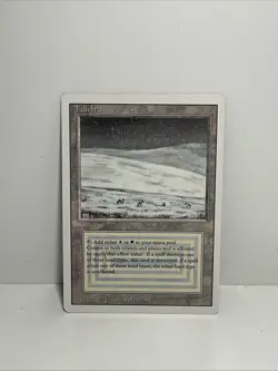 MTG Magic The Gathering Tundra Revised Edition Regular - Image 1