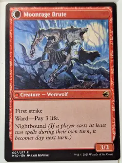 Brutal Cathar - Innistrad: Midnight Hunt - Magic the Gathering MTG Nice! - Image 2