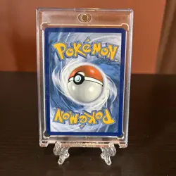 Pokemon Champions Path Dubwool - Image 2