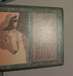 Wyluli Wolf HP (Light Mana Symbol) Arabian Nights MTG Magic the Gathering - Image 4