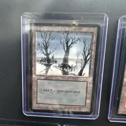 MTG Ice Age Snow-Covered Lands 1 Of Each Lands Vintage Magic The Gathering - Image 3