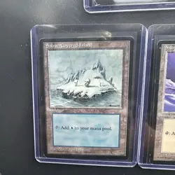 MTG Ice Age Snow-Covered Lands 1 Of Each Lands Vintage Magic The Gathering - Image 4