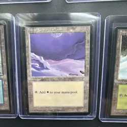 MTG Ice Age Snow-Covered Lands 1 Of Each Lands Vintage Magic The Gathering - Image 5
