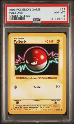 1999 Pokemon Game Shadowless # 67 Voltorb PSA 8 Card NM-MINT BASE SET Free Ship! - Image 1
