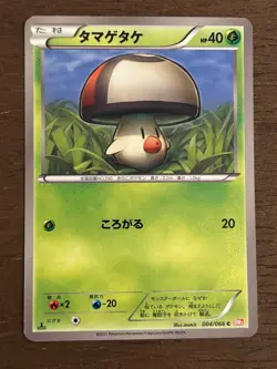 BW2 Red Collection 1st Edition Pokemon: Black and White Japanese TCG 2011 LP-NM! - Image 5