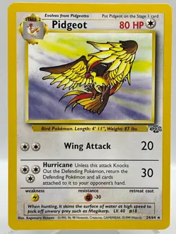 Pidgeot 24/64 Jungle Unlimited Non Holo Rare WotC Vintage Pokemon TCG Card - Image 1