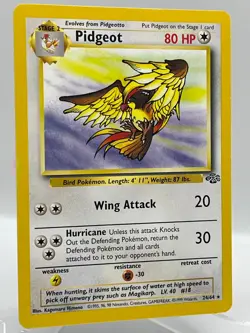 Pidgeot 24/64 Jungle Unlimited Non Holo Rare WotC Vintage Pokemon TCG Card - Image 2