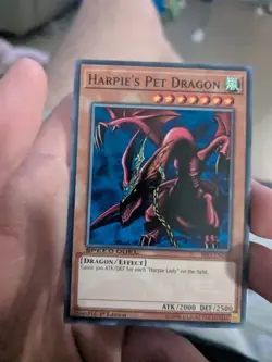 Harpie’s Pet Dragon - SBLS-EN020 - Speed Duel - Common - Yugioh - Image 1