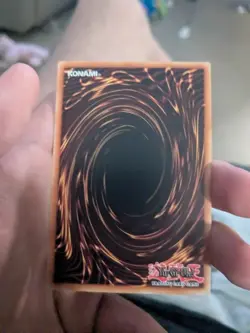 Harpie’s Pet Dragon - SBLS-EN020 - Speed Duel - Common - Yugioh - Image 2