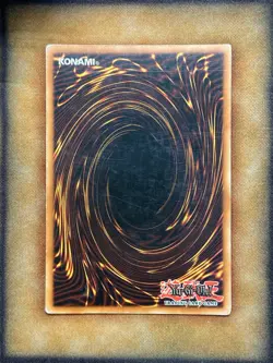 Yugioh Black Rose Dragon CT05-EN003 Secret Rare Limited Edition EURO MP - Image 4
