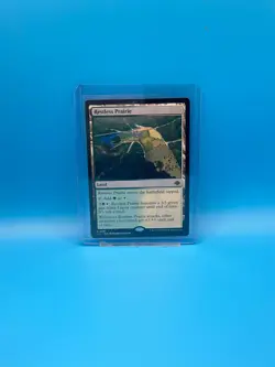 MTG, Restless Prairie 281 The Lost Caverns of Ixalan Regular - Image 1