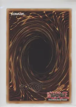 Foolish Burial 1st Ed. YuGiOh Rise of the True Dragons Structure Deck - Image 2