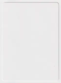 Signed Beloved Chaplain Proof LP Odyssey Artist Darrell Riche 2001 MTG Magic AP! - Image 2