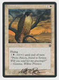 Signed Mesa Falcon MP Homelands Artist Mark Poole 1995 WOTC MTG Magic Vintage! - Image 1