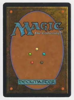 Signed Mesa Falcon MP Homelands Artist Mark Poole 1995 WOTC MTG Magic Vintage! - Image 2