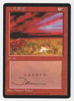 Signed Chinese Flashfires Proof LP 4th FBB Artist Dameon Willich MTG Magic AP! - Image 1