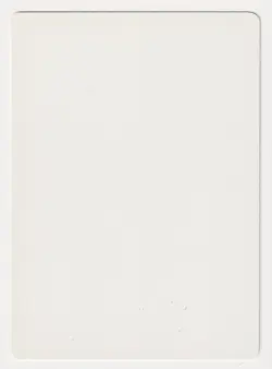 Signed Chinese Flashfires Proof LP 4th FBB Artist Dameon Willich MTG Magic AP! - Image 2