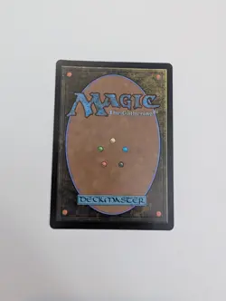 MTG - Cat Collector (Foil) - Foundations NM/M Condition - Image 4