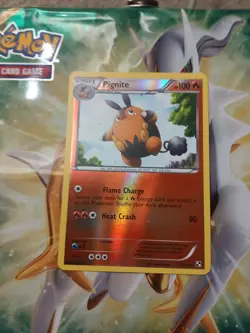 Pignite (17) - Black and White (BLW) Reverse Holofoil Pokemon Card NM - Image 1