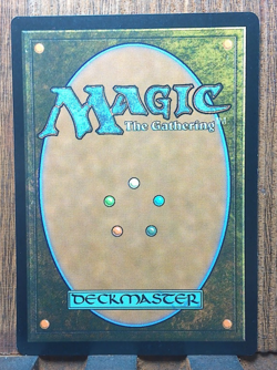 MTG Don't Move ( Borderles) Universes Beyond Jurassic World Collection NM❤ - Image 3