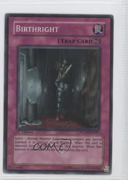 Birthright (Super Rare) 1st Ed. YuGiOh Strike of the Neos #STON-EN057 2007 - Image 1