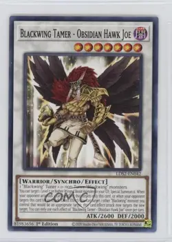 Blackwing Tamer - Obsidian Hawk Joe 1st Ed. YuGiOh Legendary Duelists: Season 2 - Image 1