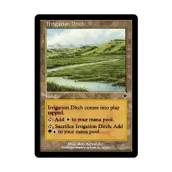 WOTC MtG Invasion Irrigation Ditch (C) (Foil) EX - Image 1