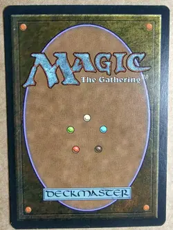 MTG Ice Age - Veldt - EX+ - Magic the Gathering - Free Shipping - Image 2