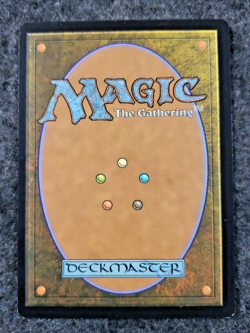 Seeker of the Way (Borderless) 341 - Double Masters 2022 - MTG NM .....(DS3D1K6) - Image 2