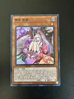 Red Blossoms from Underroot Korean RC03-KR019 Super Rare NM Yugioh - Image 1